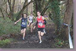 Begles 15.12.13 01 1041 * 679 x 453 * (182KB)